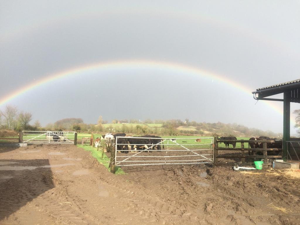 Rew Farm Country & Equestrian Accommodation - Sunrise Lodge Melksham Exterior photo